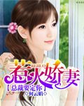 惹火娇妻总裁要定你/爱你比花浓