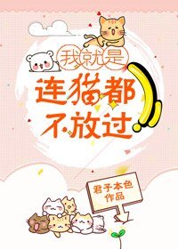 我就是連貓都不放過